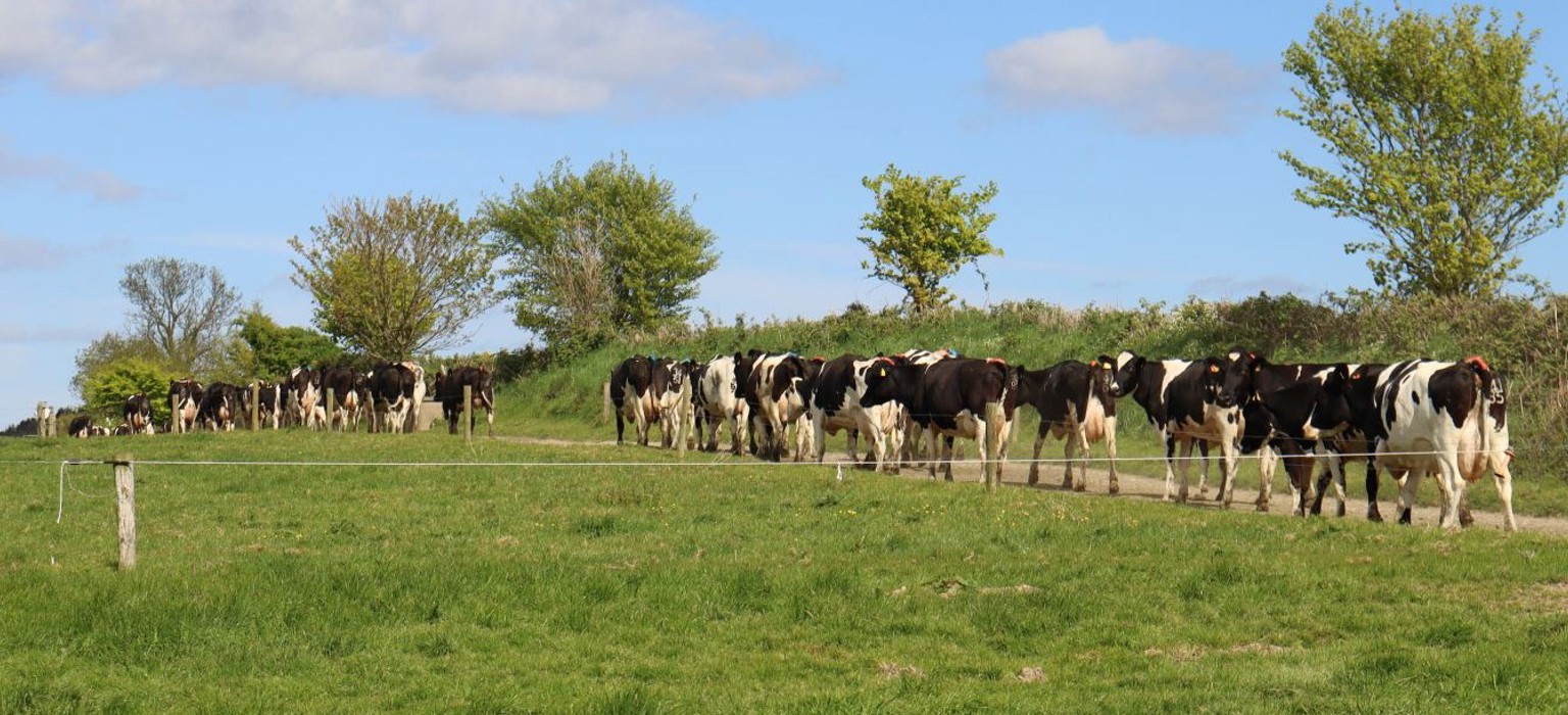 cover image farmops.JPG