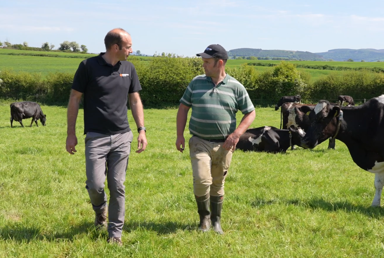 Graham Swanton, Munster Bovine FRM, speaks to Dave Hally, FarmOps User in Co. Tipperary
