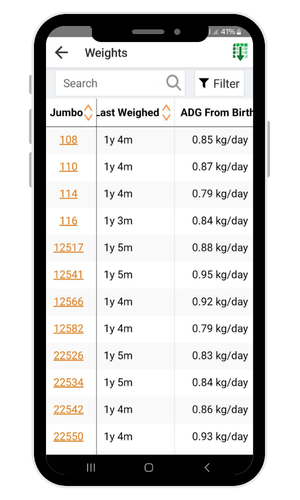 Age Last Weighed & ADG From Birth